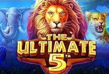 The Ultimate 5 Slot Review